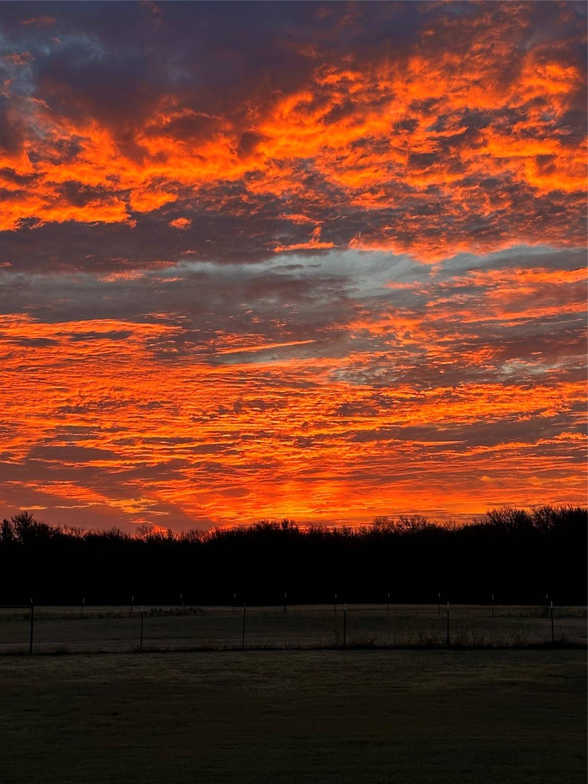 Blue Ridge, TX 75424,8636 Morgan RD