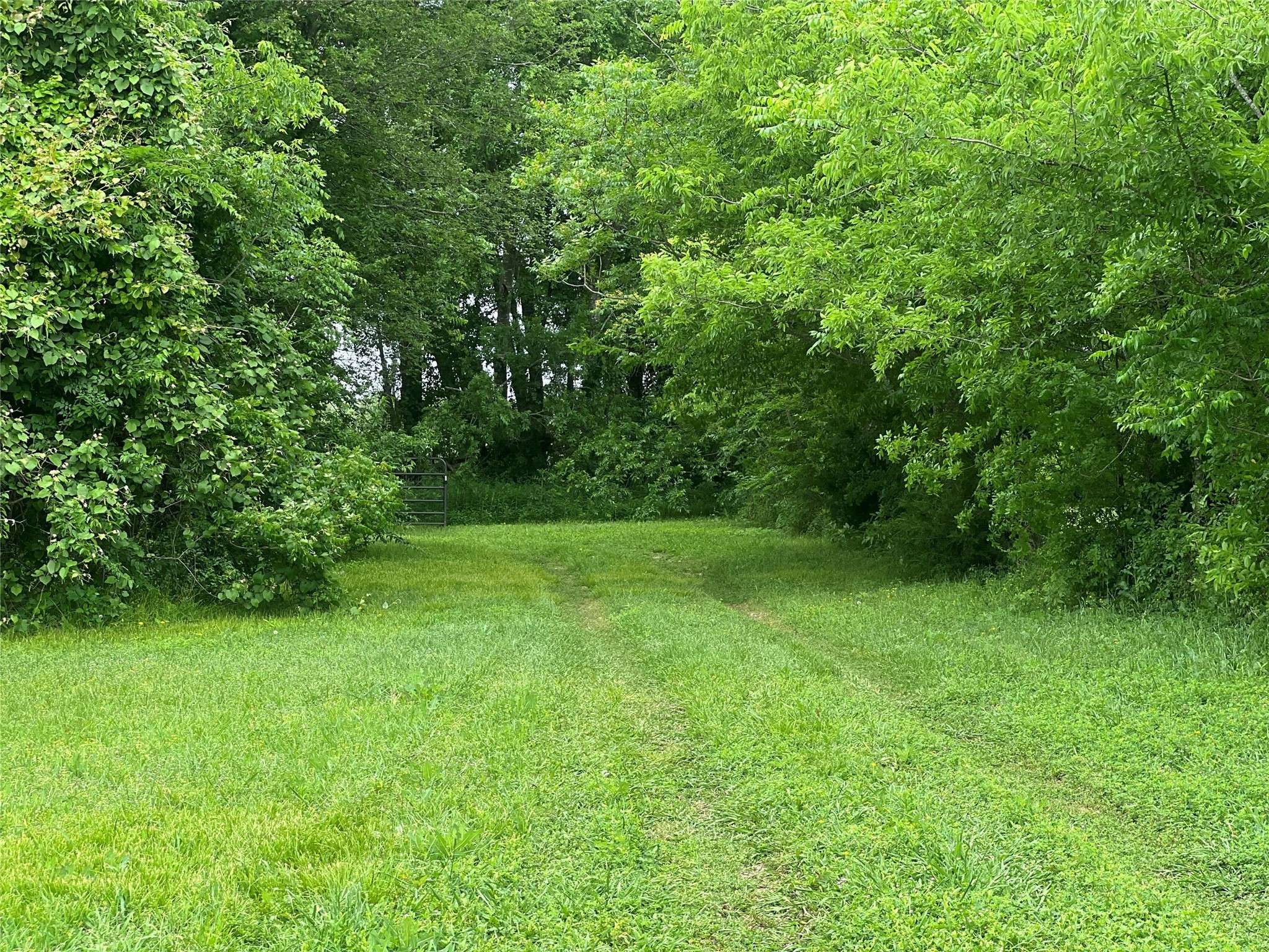 1638 Private Road 2268, Quinlan, TX 75474