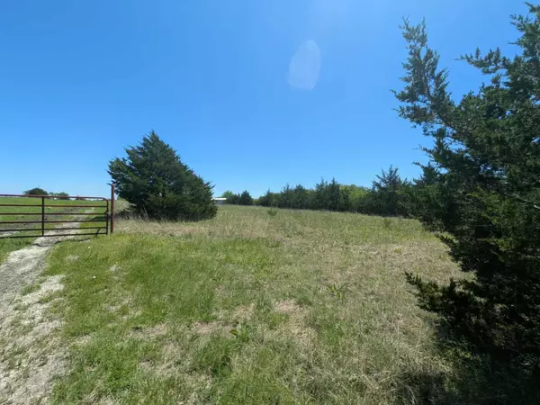 Blue Ridge, TX 75424,11008 County Road 670