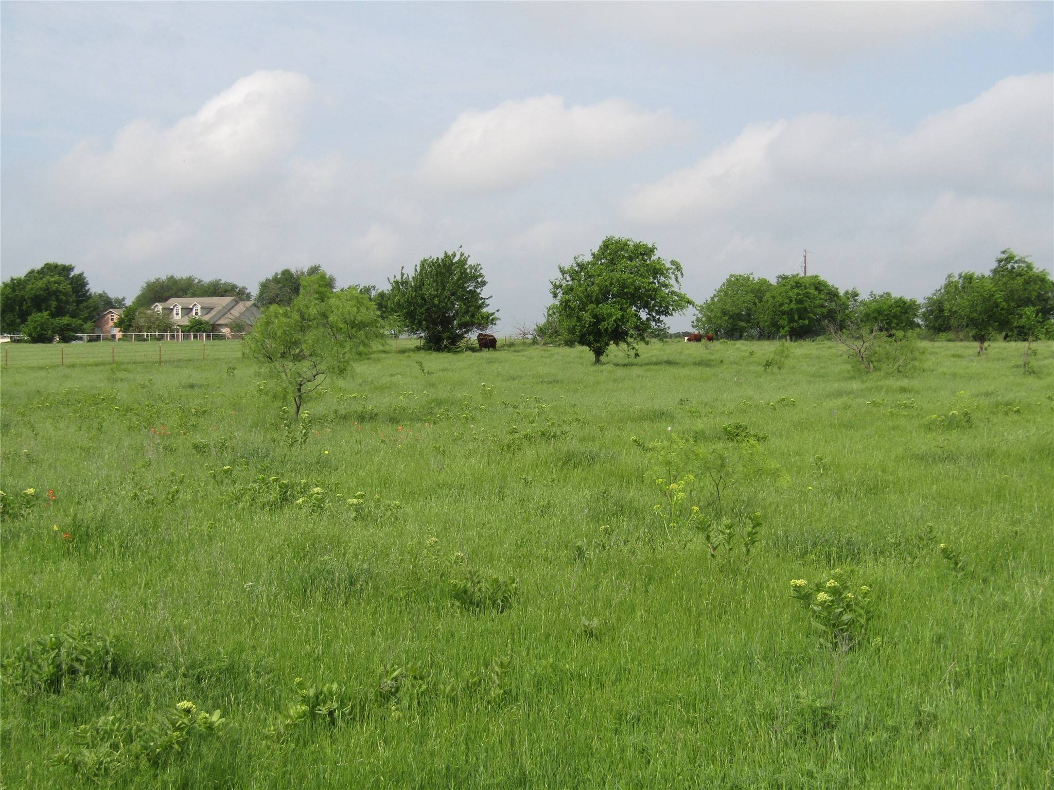 Sanger, TX 76249,2450 FM 2450