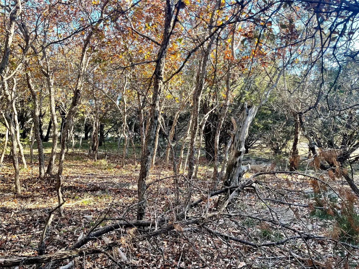 Possum Kingdom Lake, TX 76449,20 Inverness DR