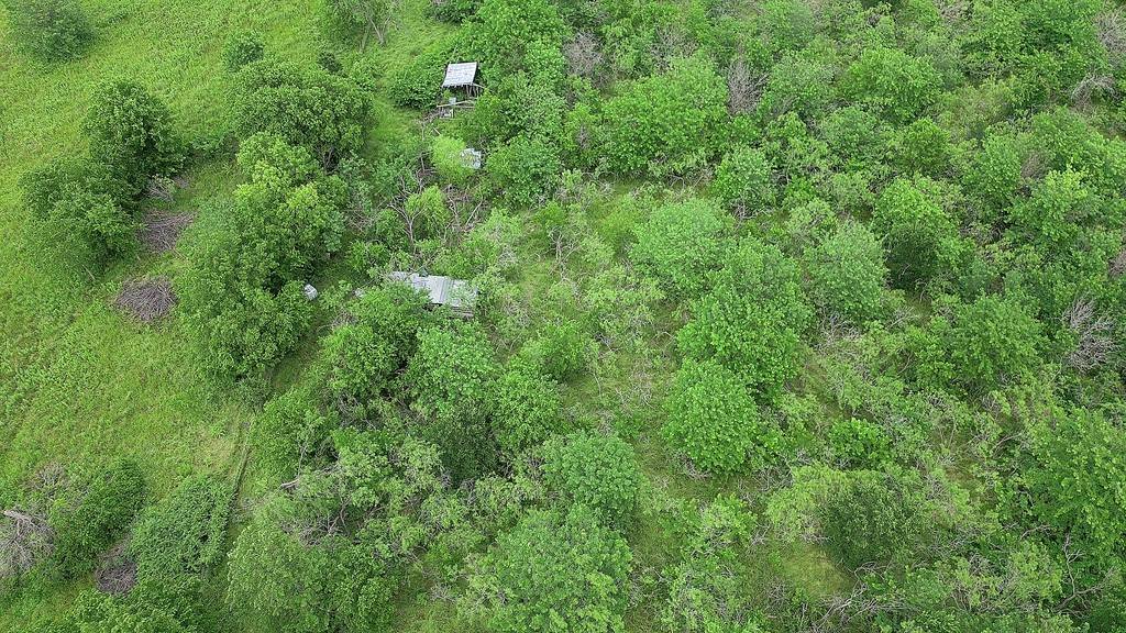 Blooming Grove, TX 76626,000 TBD FM 1839
