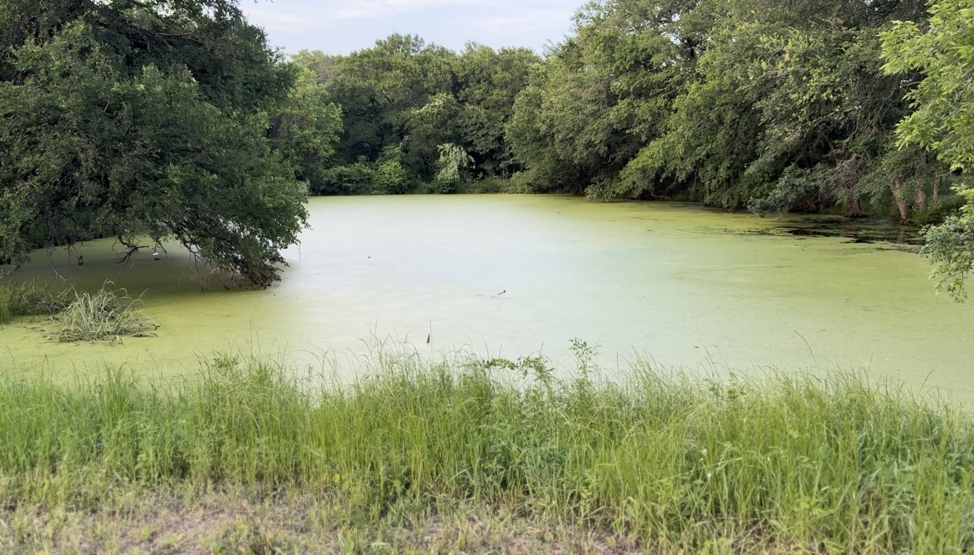 TBD NW 0030 Road, Corsicana, TX 75110