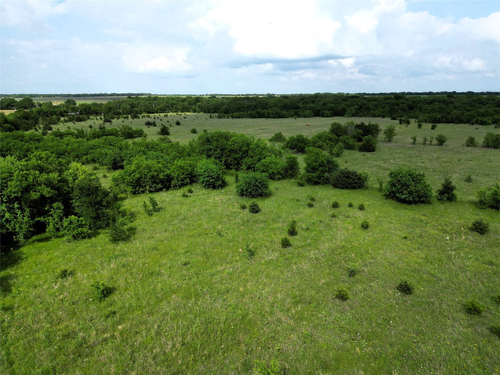 Greenville, TX 75401,30Ac Fm-118