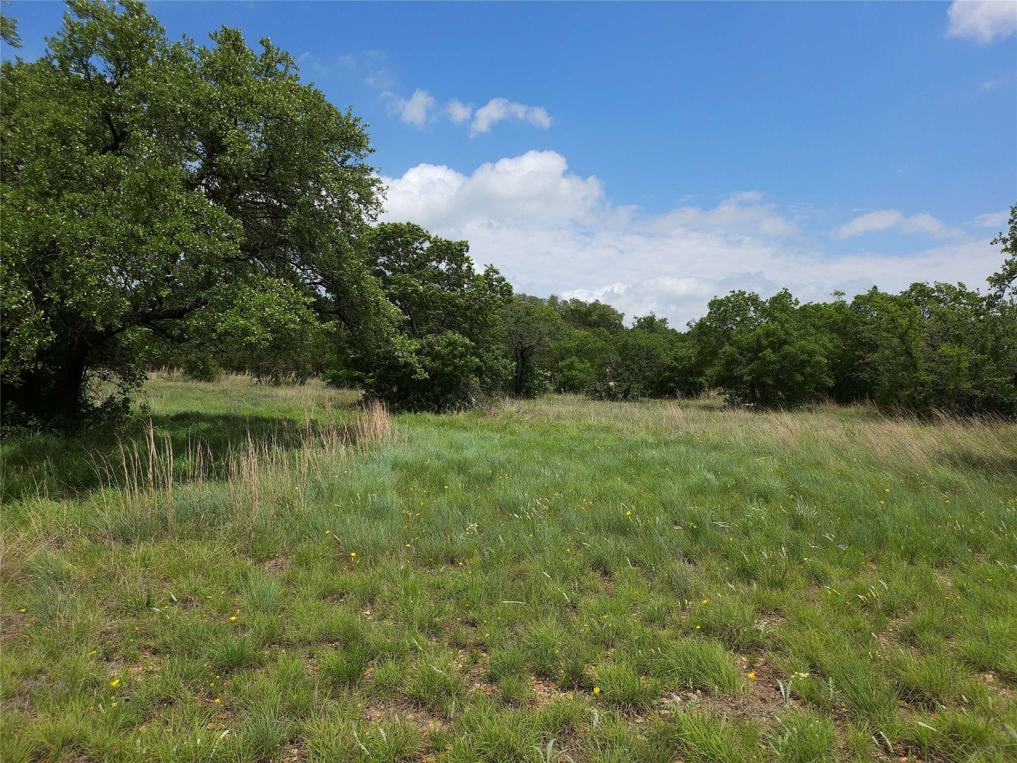 Morgan, TX 76671,0000 County Road 1125