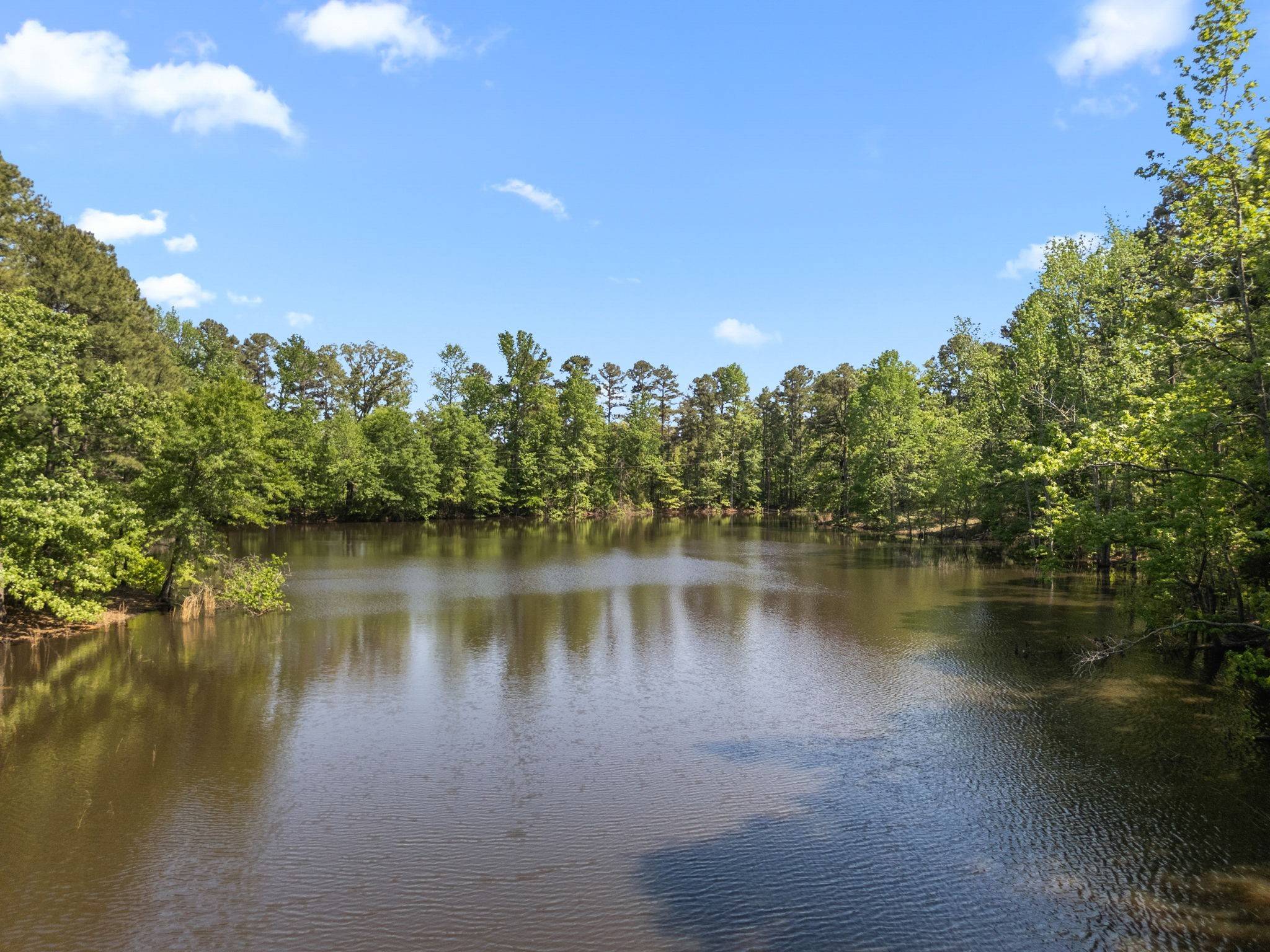 Mineola, TX 75773,1081 County Road 3875
