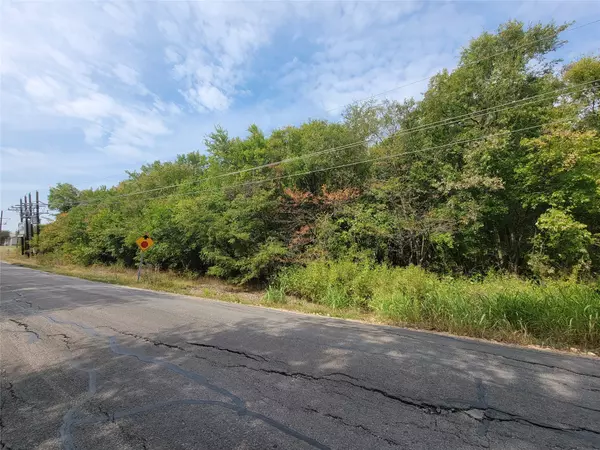 Farmersville, TX 75442,Lot1 County Road 1076