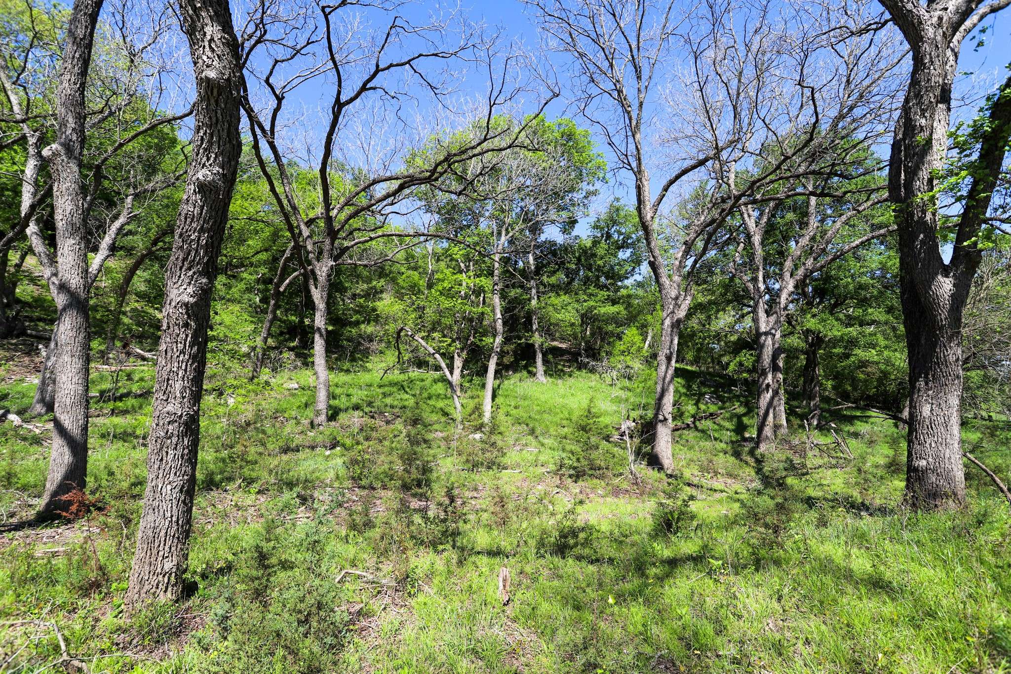 Moody, TX 76557,tbd County Road 314
