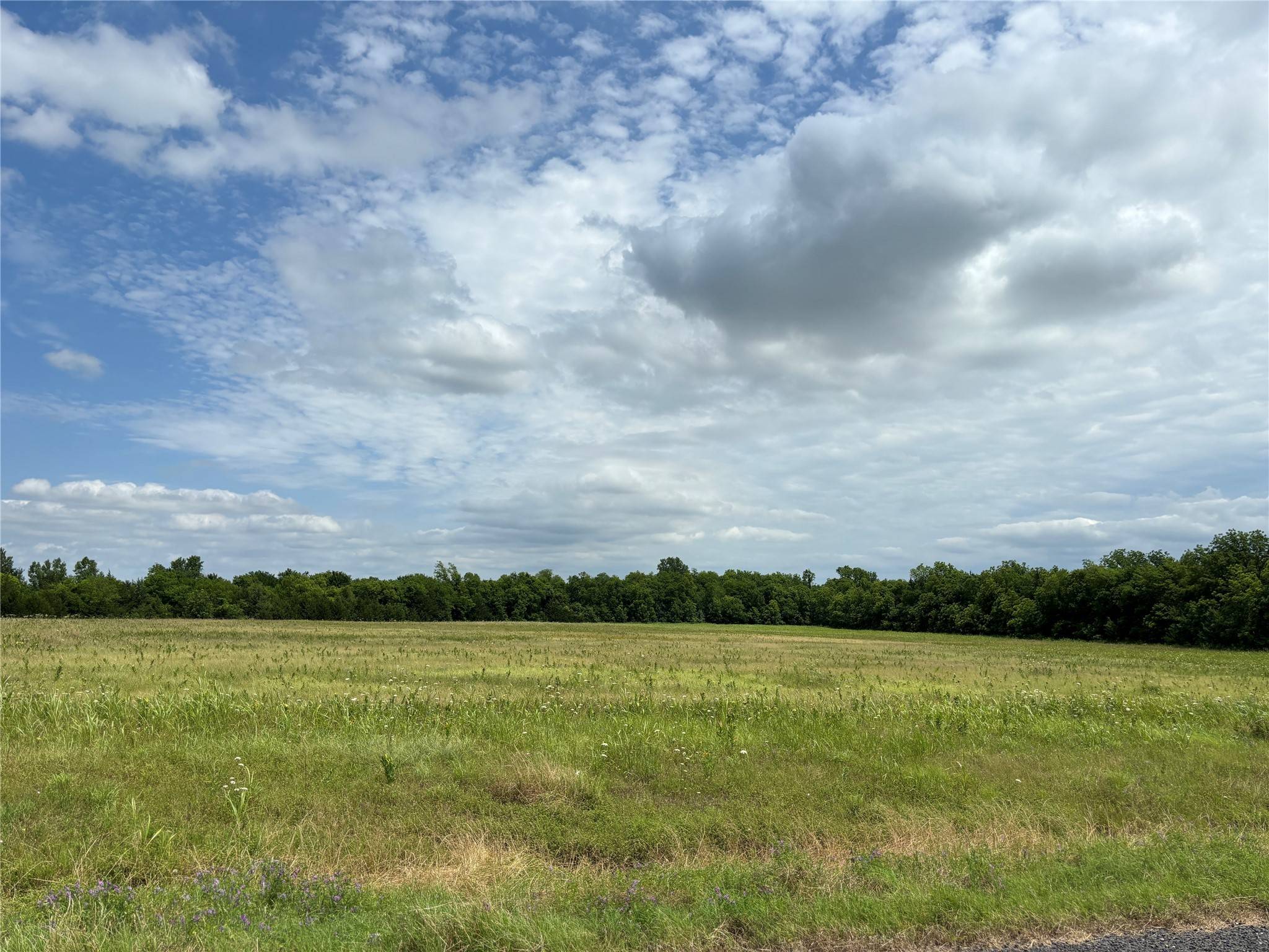 Honey Grove, TX 75446,Tract 2 FM 137 RD