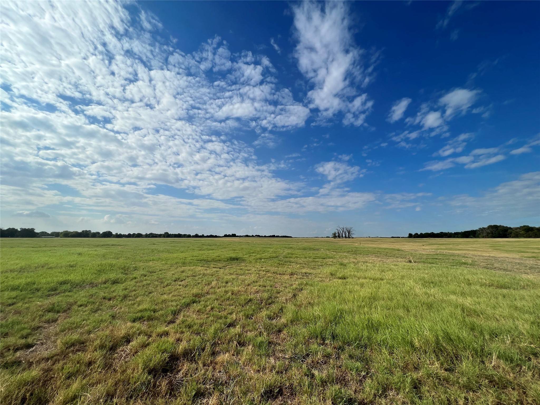 Ben Wheeler, TX 75754,000 Vz County Road 4305