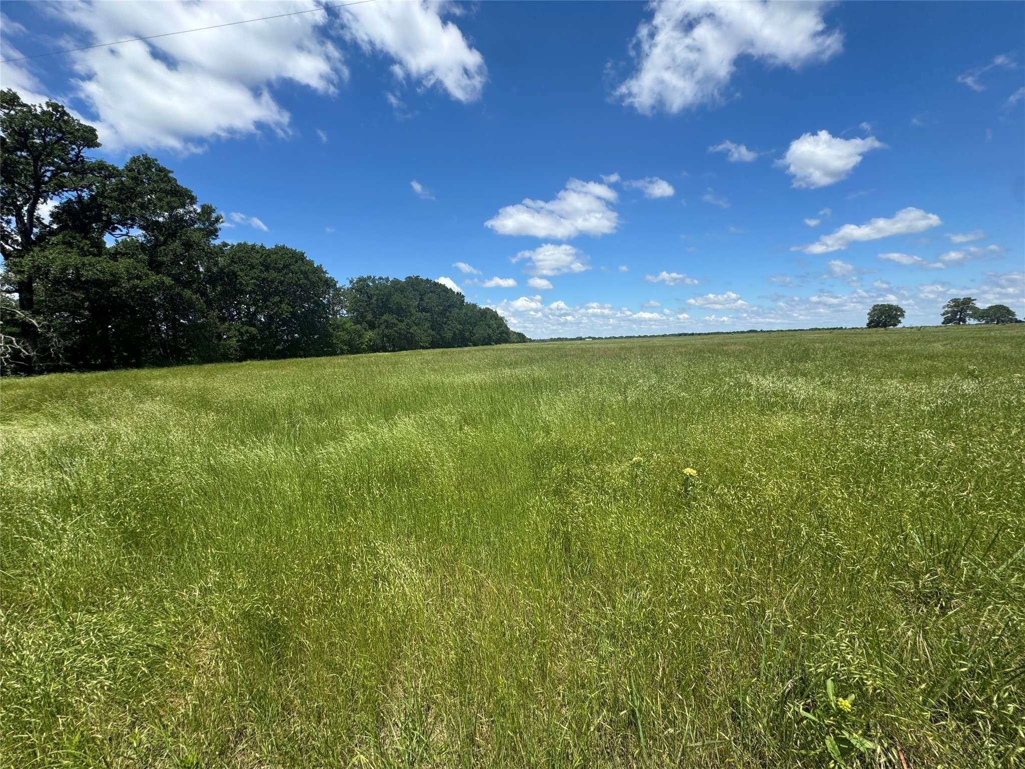 Kerens, TX 75144,TBD LOT 1 County Road 4210