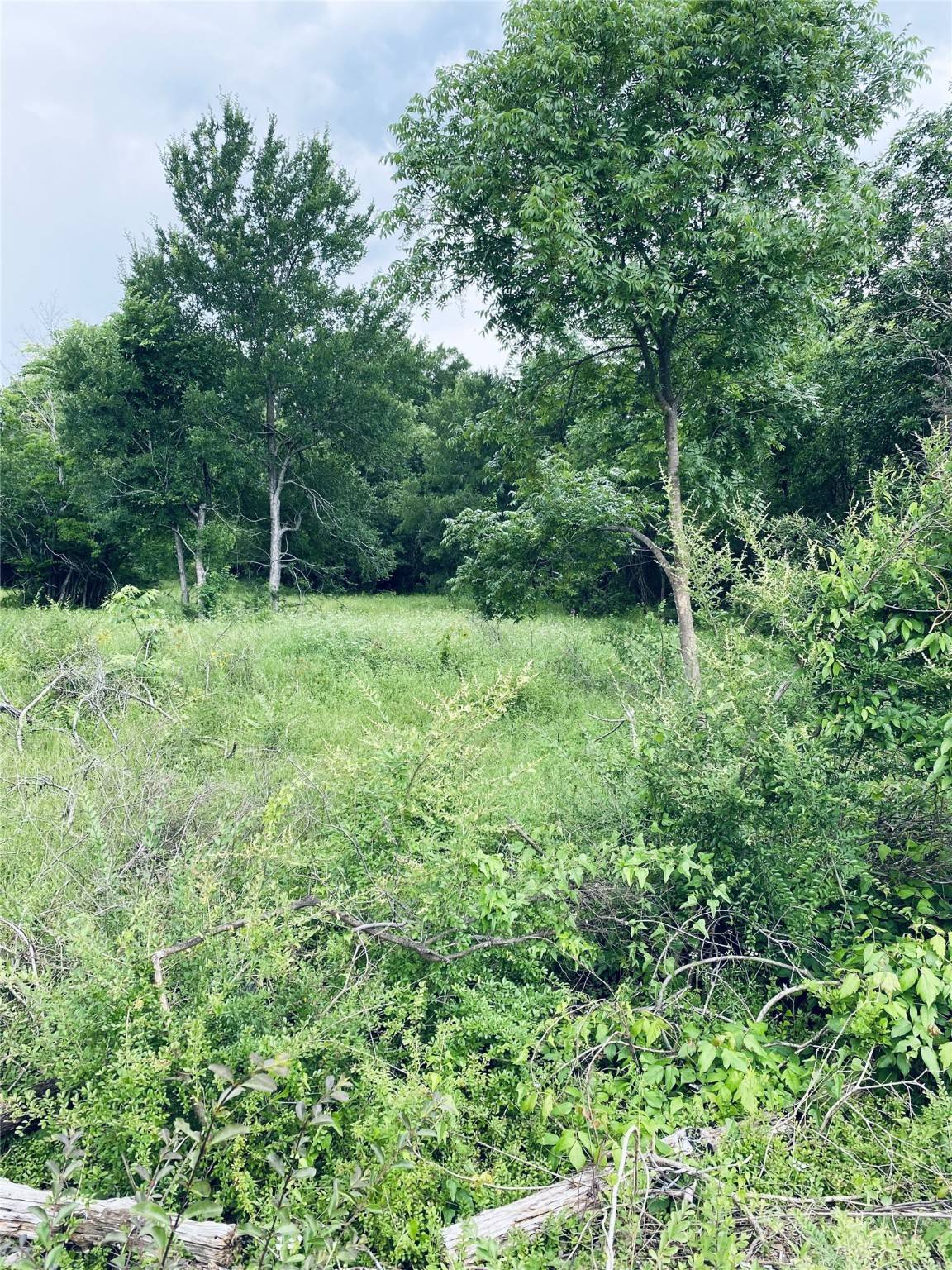 Desoto, TX 75115,1000 Silver Creek DR