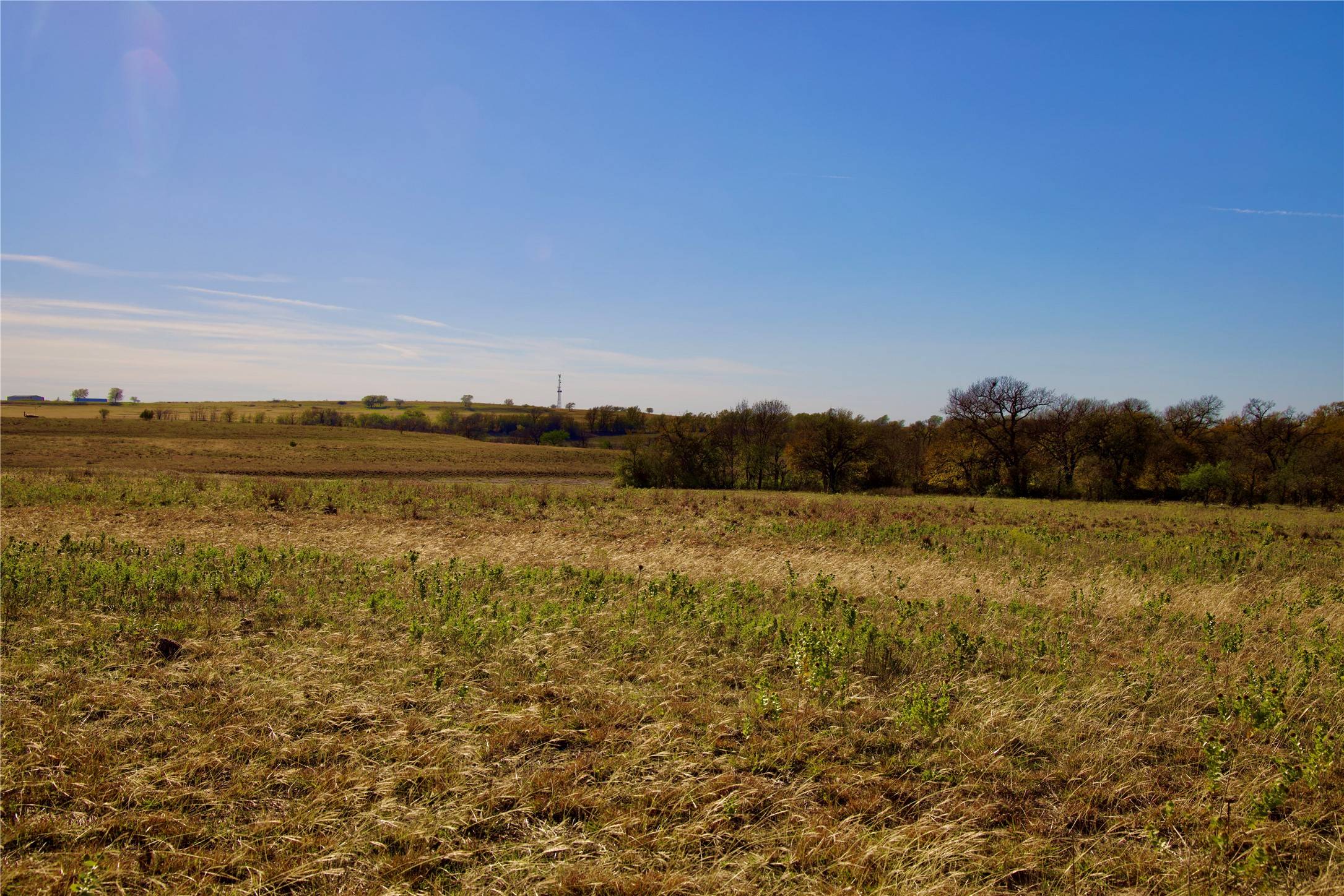 Rhome, TX 76078,TBD 126+/- Acres CR-4421