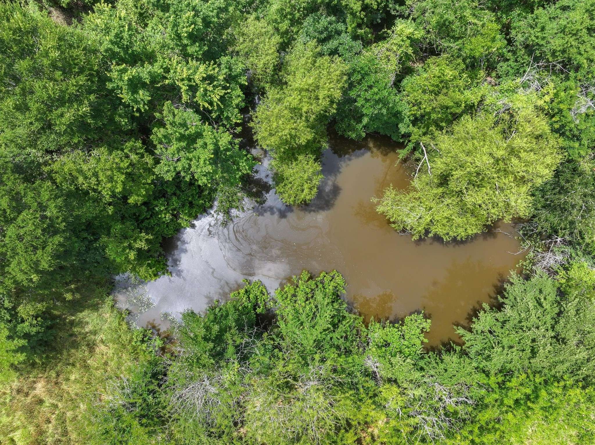 Wills Point, TX 75169,TBD VZ County Road 3412