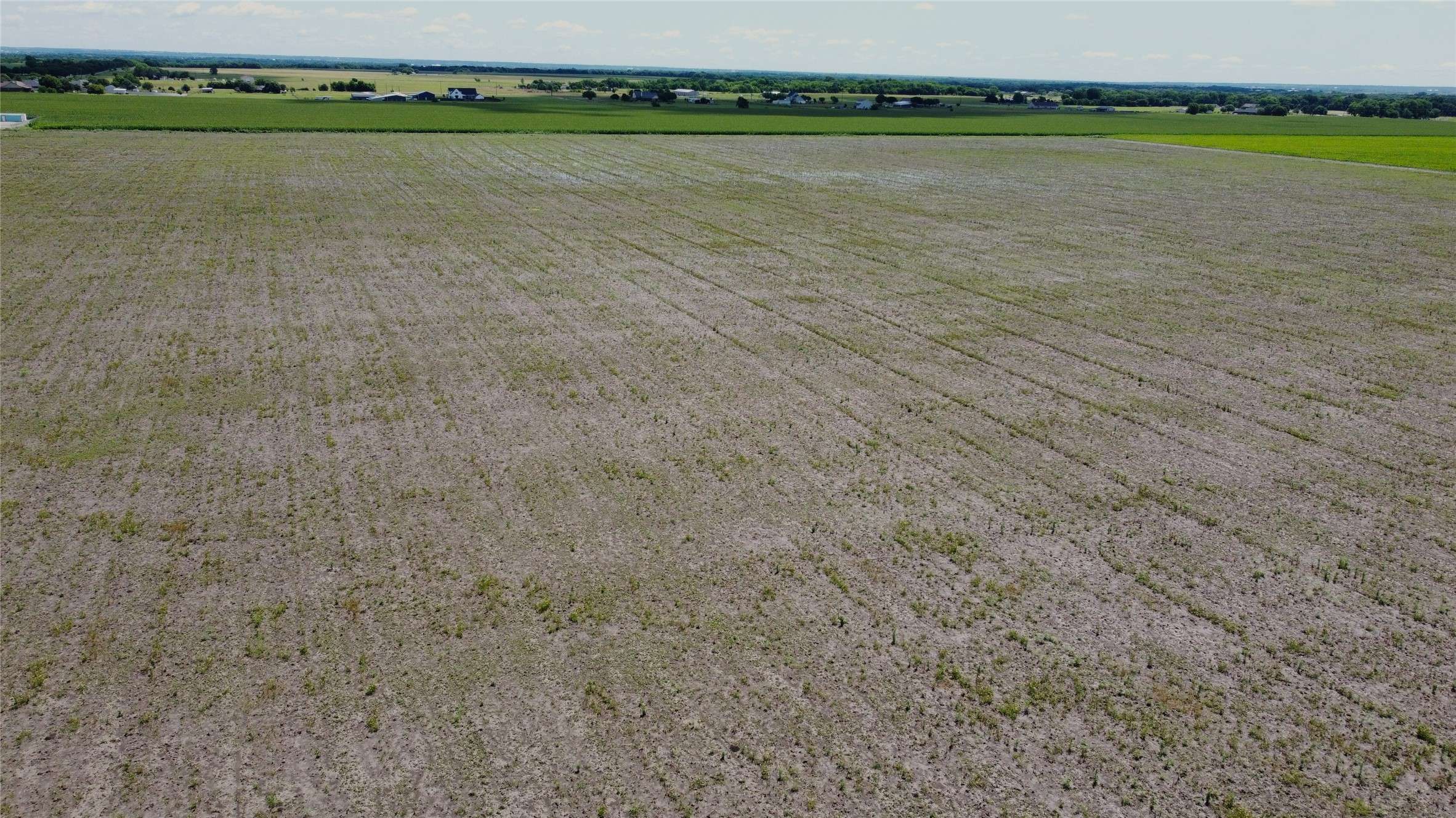 Grandview, TX 76050,10628 County Road 103