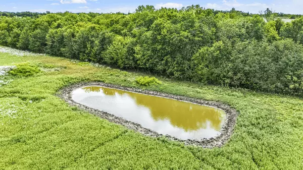 Dodd City, TX 75438,1234 County Road 2905