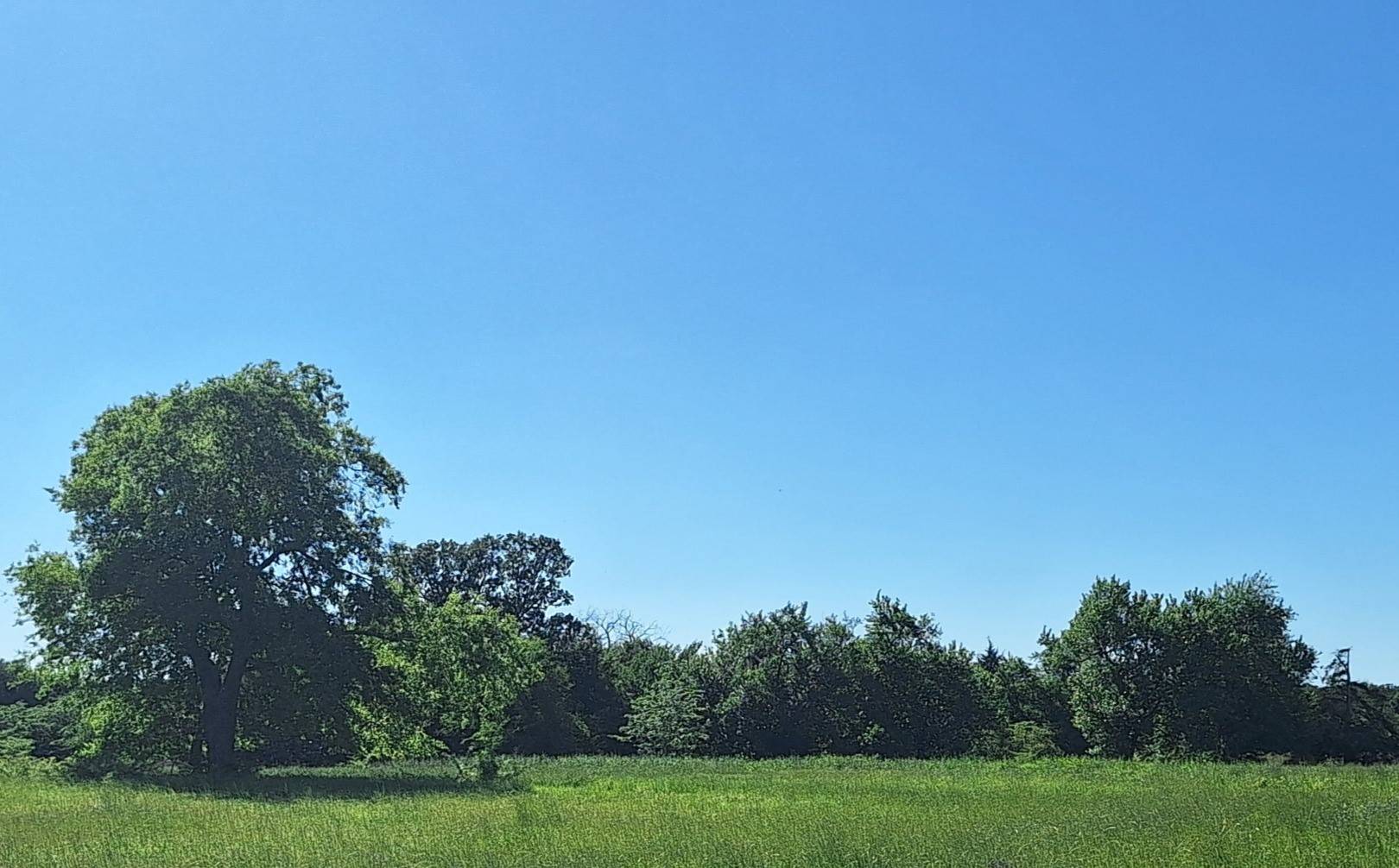 TBD County Rd 3512, Lot 35, Dike, TX 75437