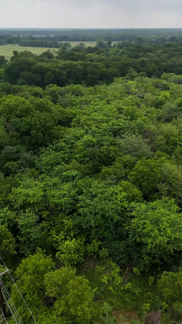 Greenville, TX 75401,TBD Commerce Dr