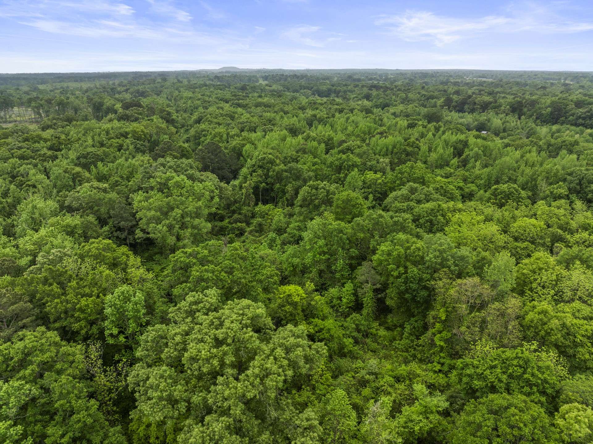 Pittsburg, TX 75686,TBD County Road 1140