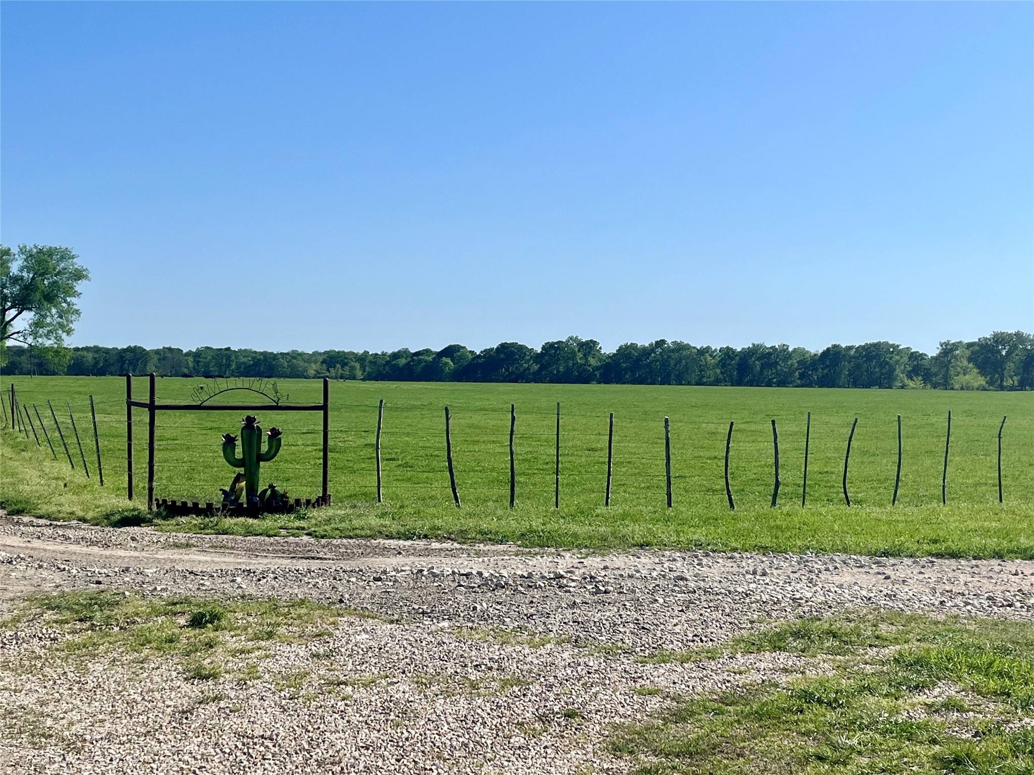 Lake Creek, TX 75450,4798 E FM 198