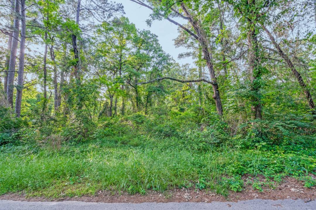 Frankston, TX 75763,0 Forest Hill DR