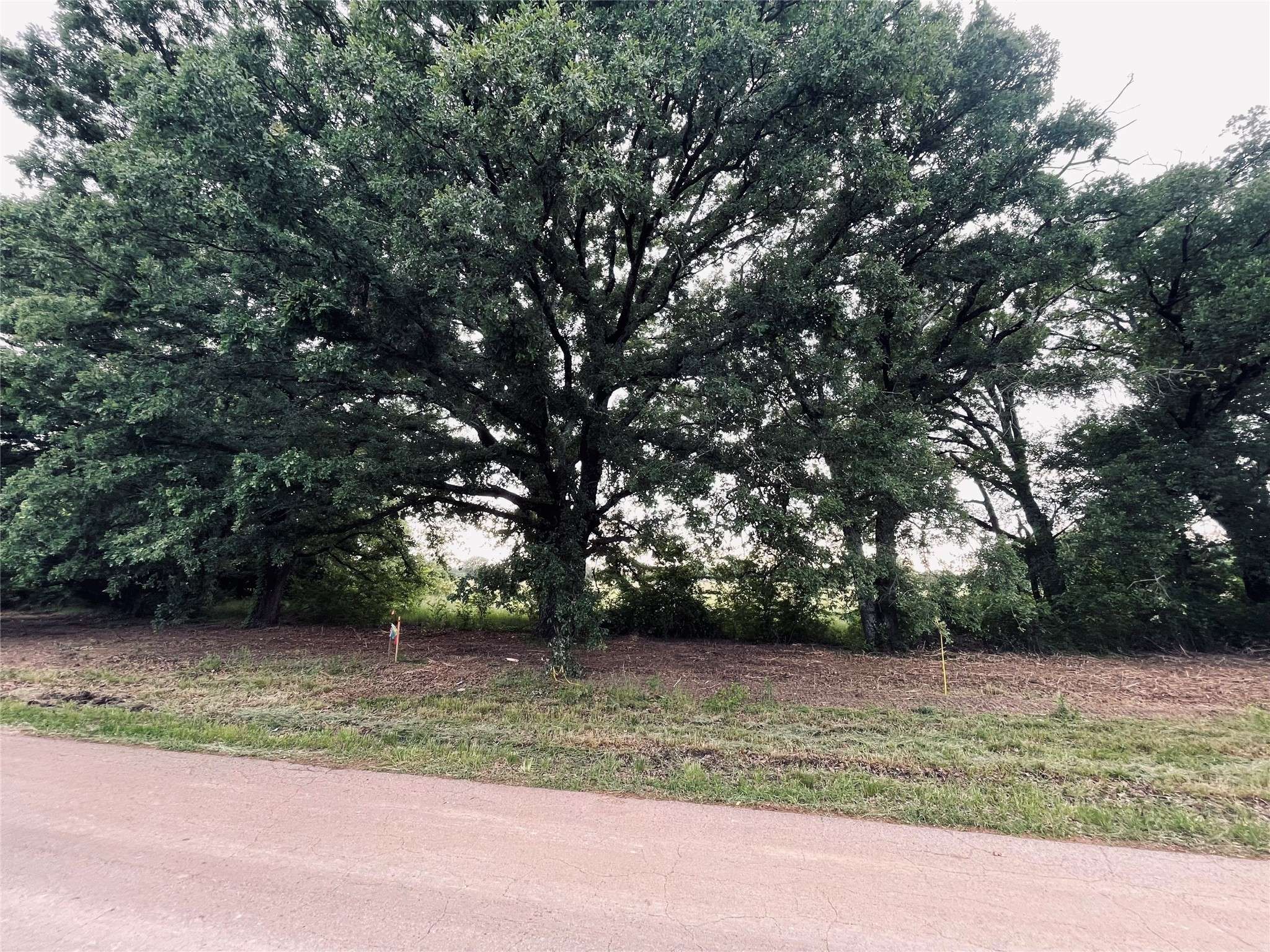 LOT 1 COUNTY ROAD 1560, Alba, TX 75410