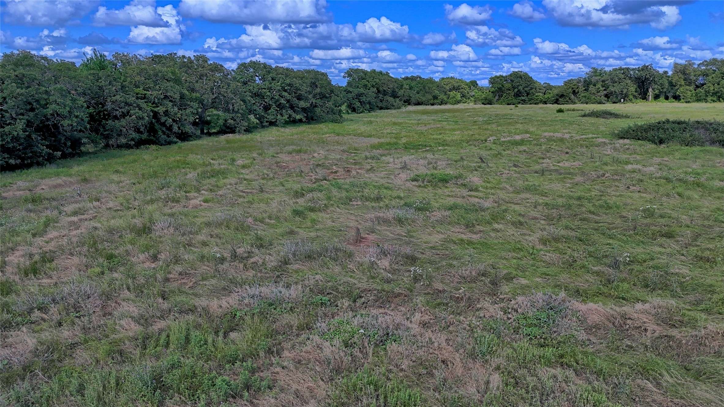 Montague, TX 76251,1494 Alamo RD