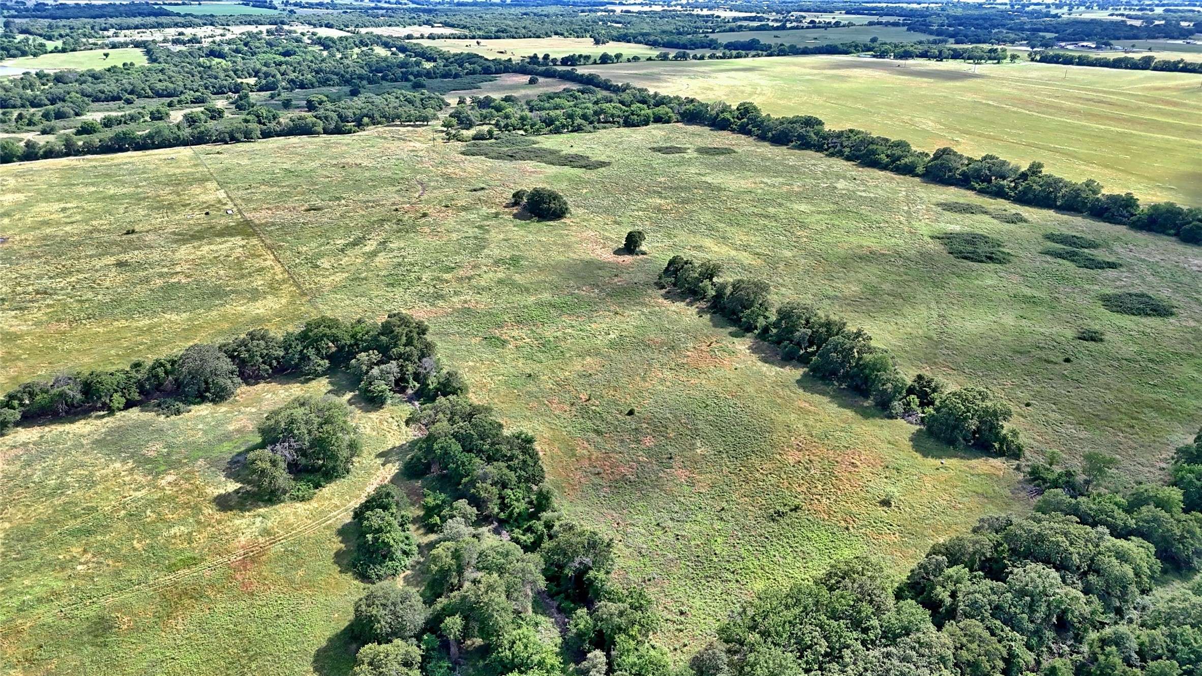 Montague, TX 76251,TBD Alamo RD