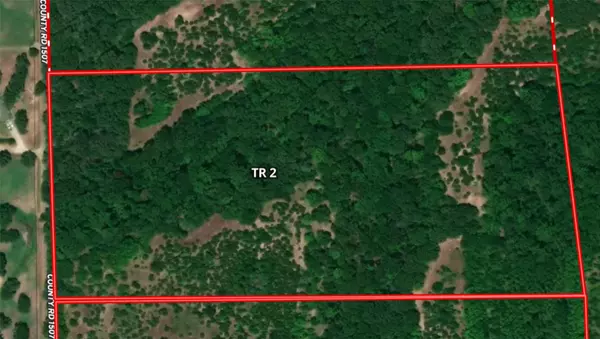 Grand Saline, TX 75140,Tract 2 TBD VZCR 1507