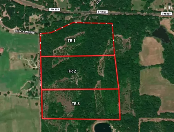 Tract 2 TBD VZCR 1507, Grand Saline, TX 75140