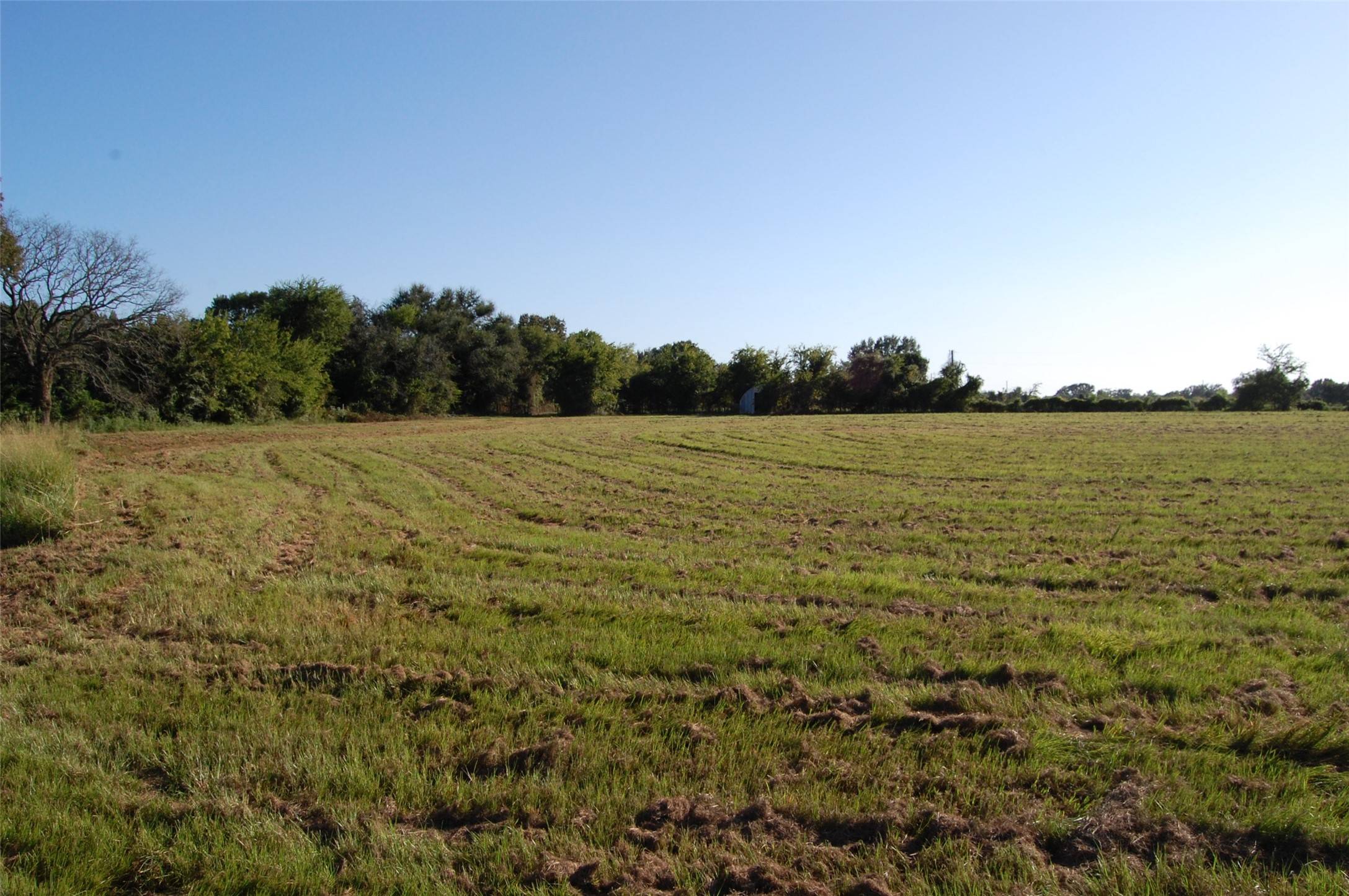 000 FCR 352, Oakwood, TX 75855