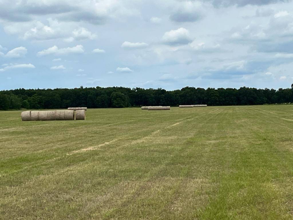 TBD NW CR 1420, Blooming Grove, TX 76626