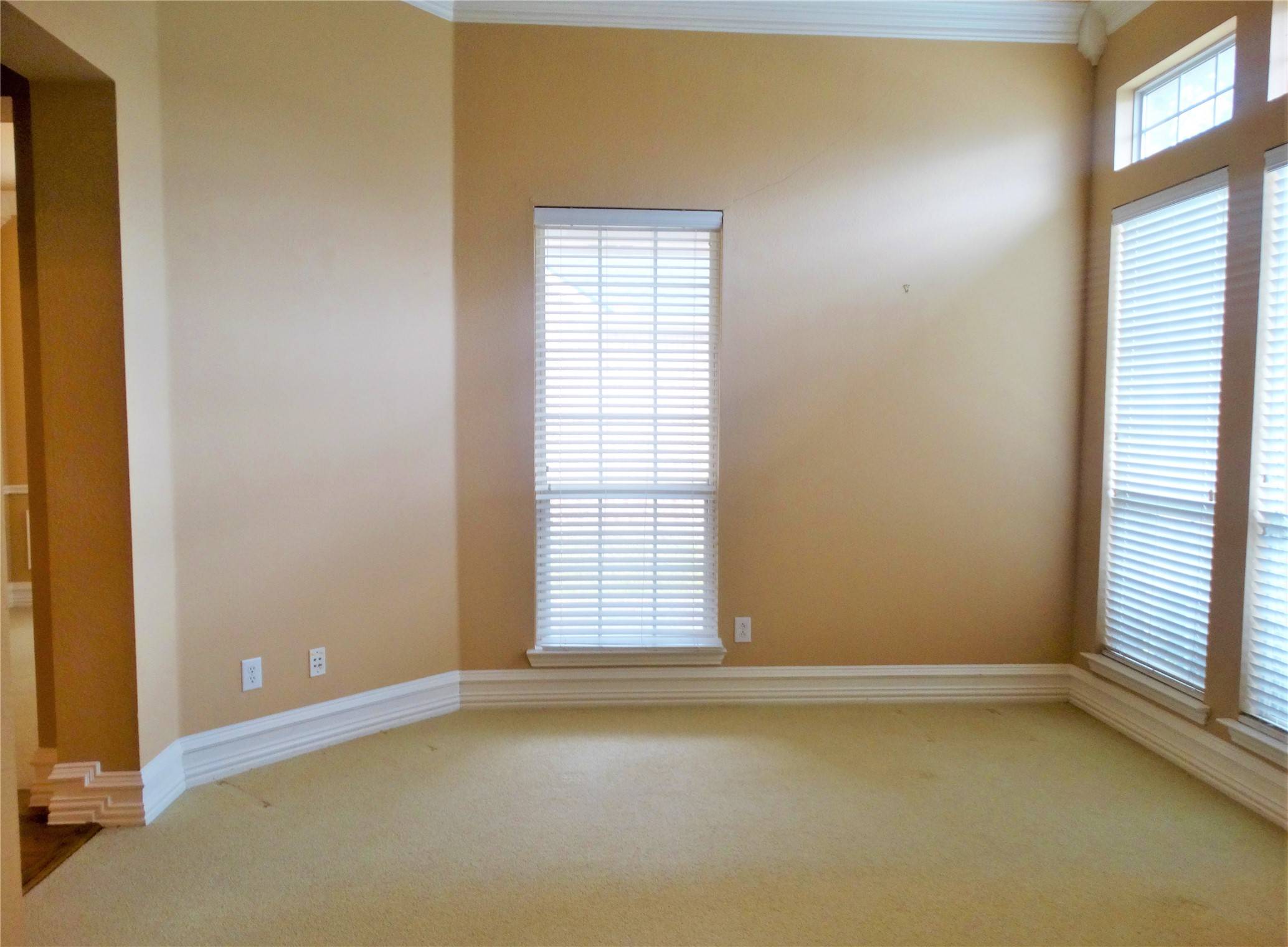 Frisco, TX 75034,4134 Constitution DR