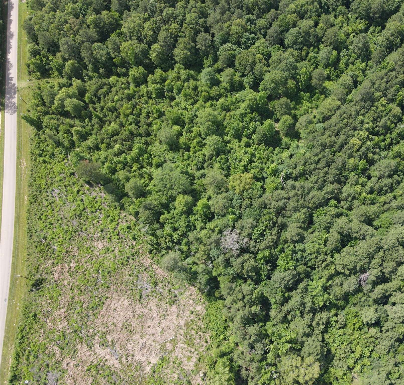 Minden, LA 71055,321 Fuller RD