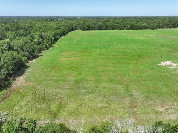 Grand Saline, TX 75140,TBD Lot 4 CR 1521