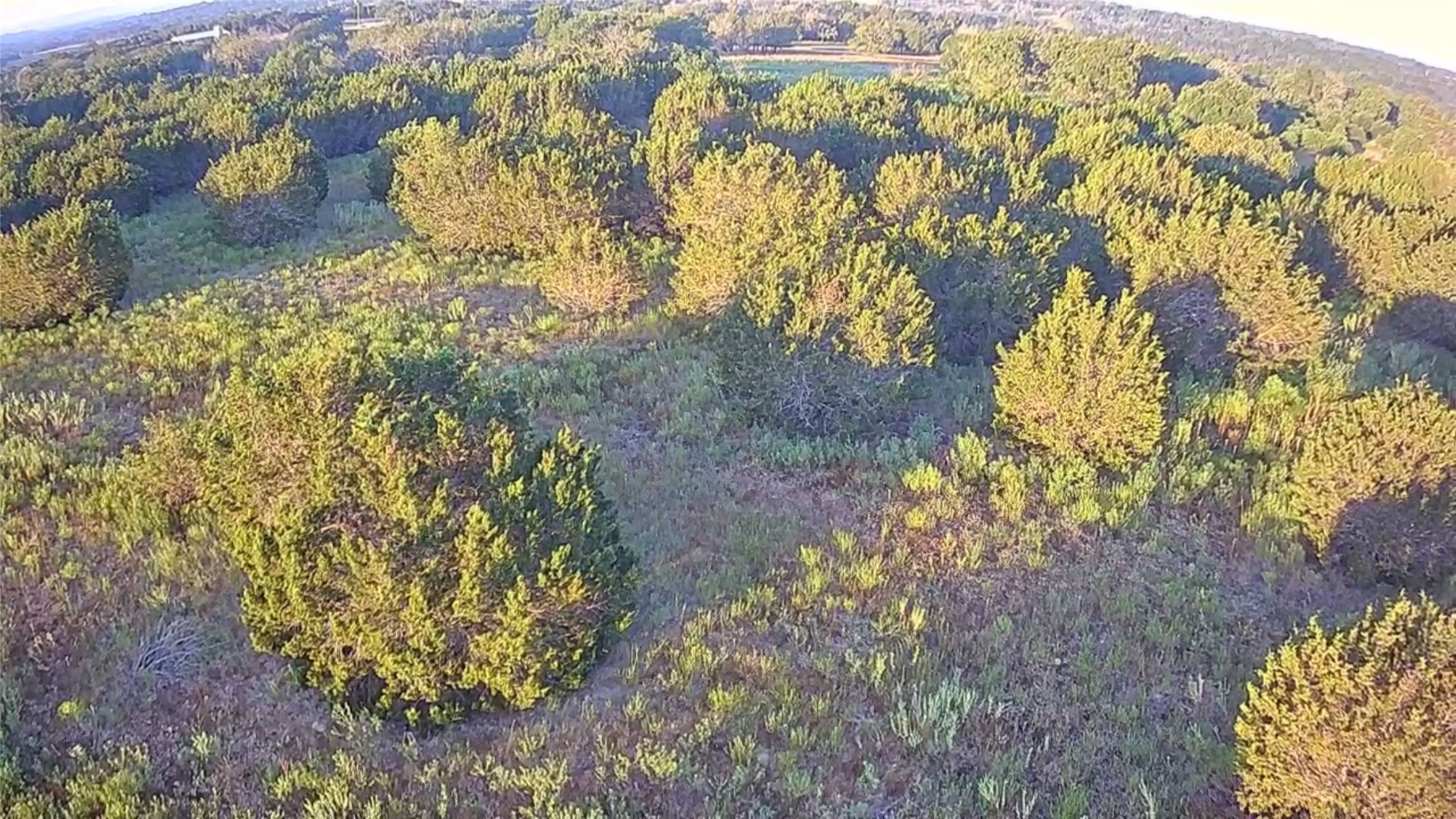 Jonesboro, TX 76538,Lot 49 Private Road 16030