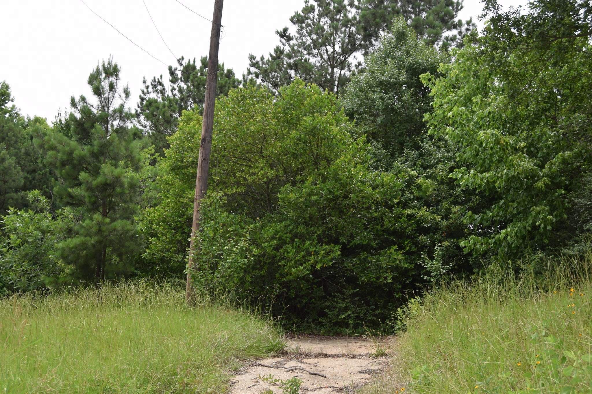 Minden, LA 71055,#1 Main ST
