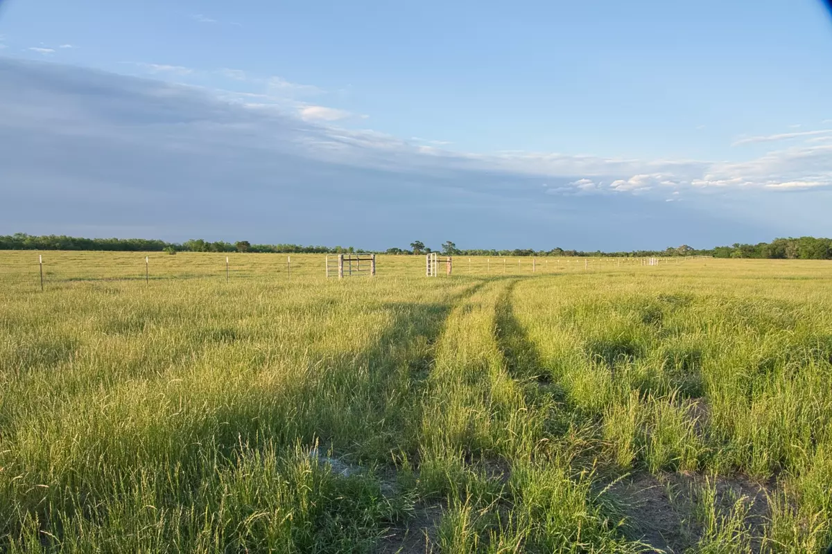 Groesbeck, TX 76642,TBD County Road 626