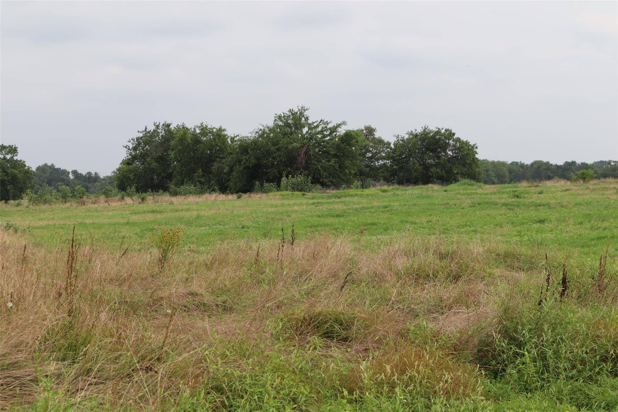 Pickton, TX 75471,0000 County Road 2383