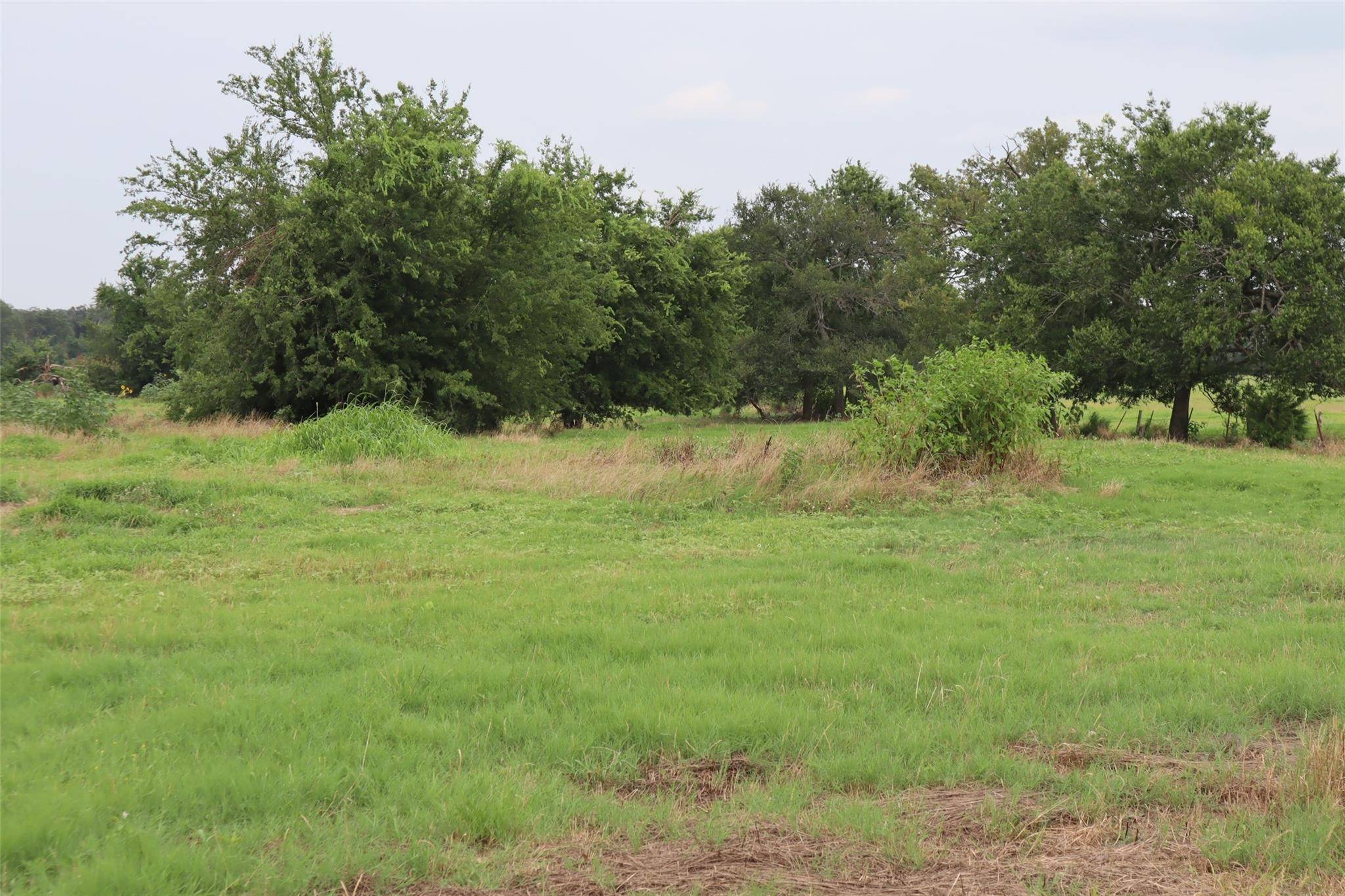 Pickton, TX 75471,0000 County Road 2383