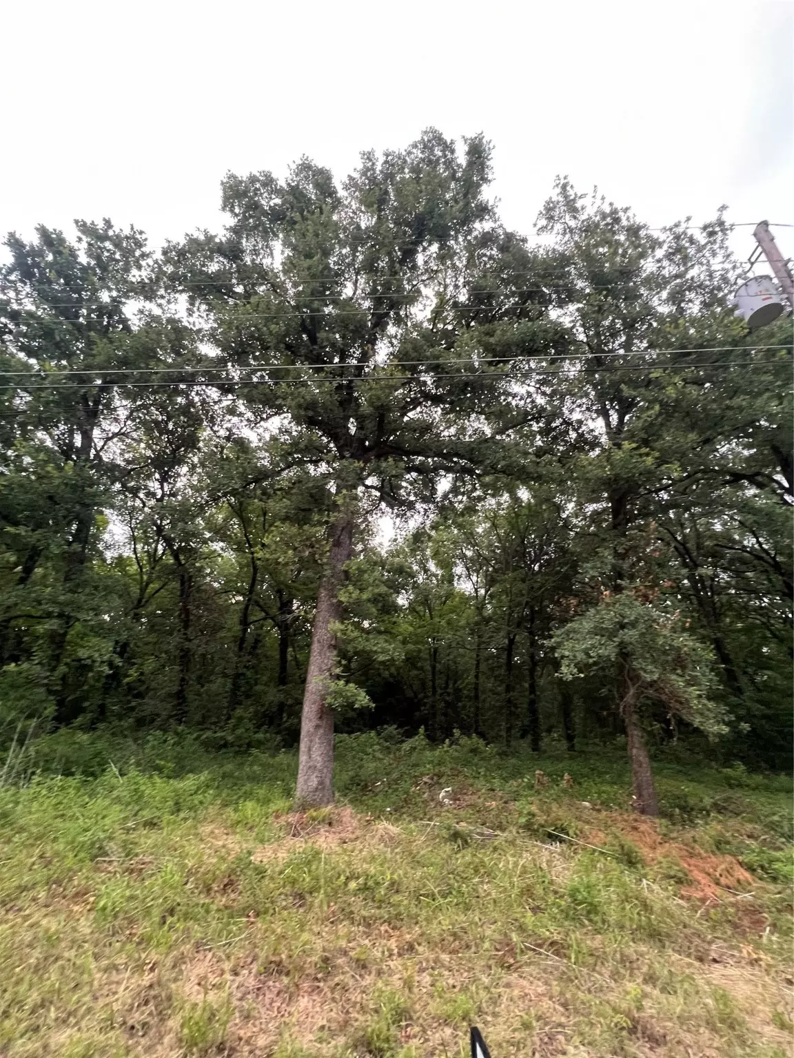 Mabank, TX 75156,117 Inca TRL