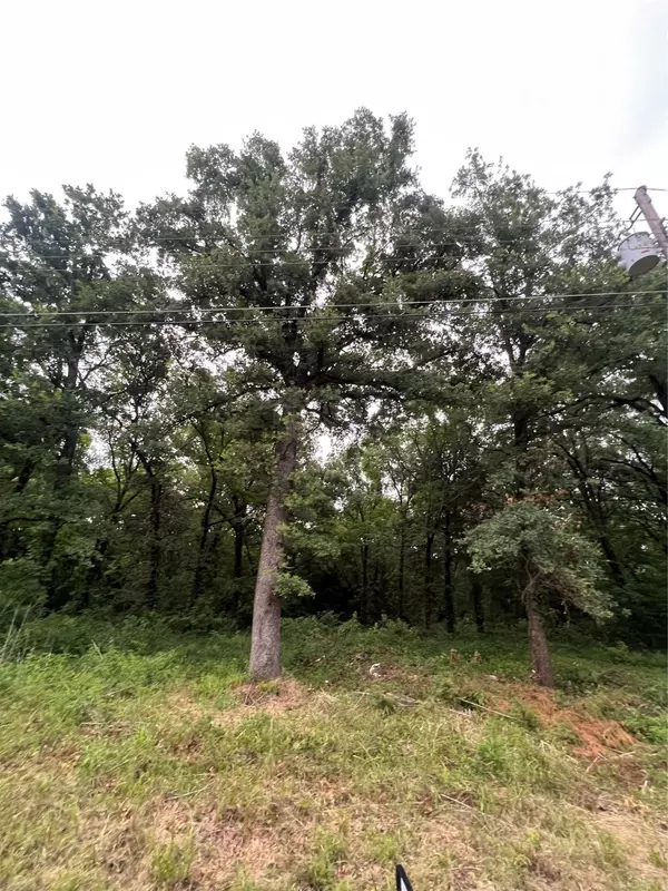 117 Inca TRL, Mabank, TX 75156