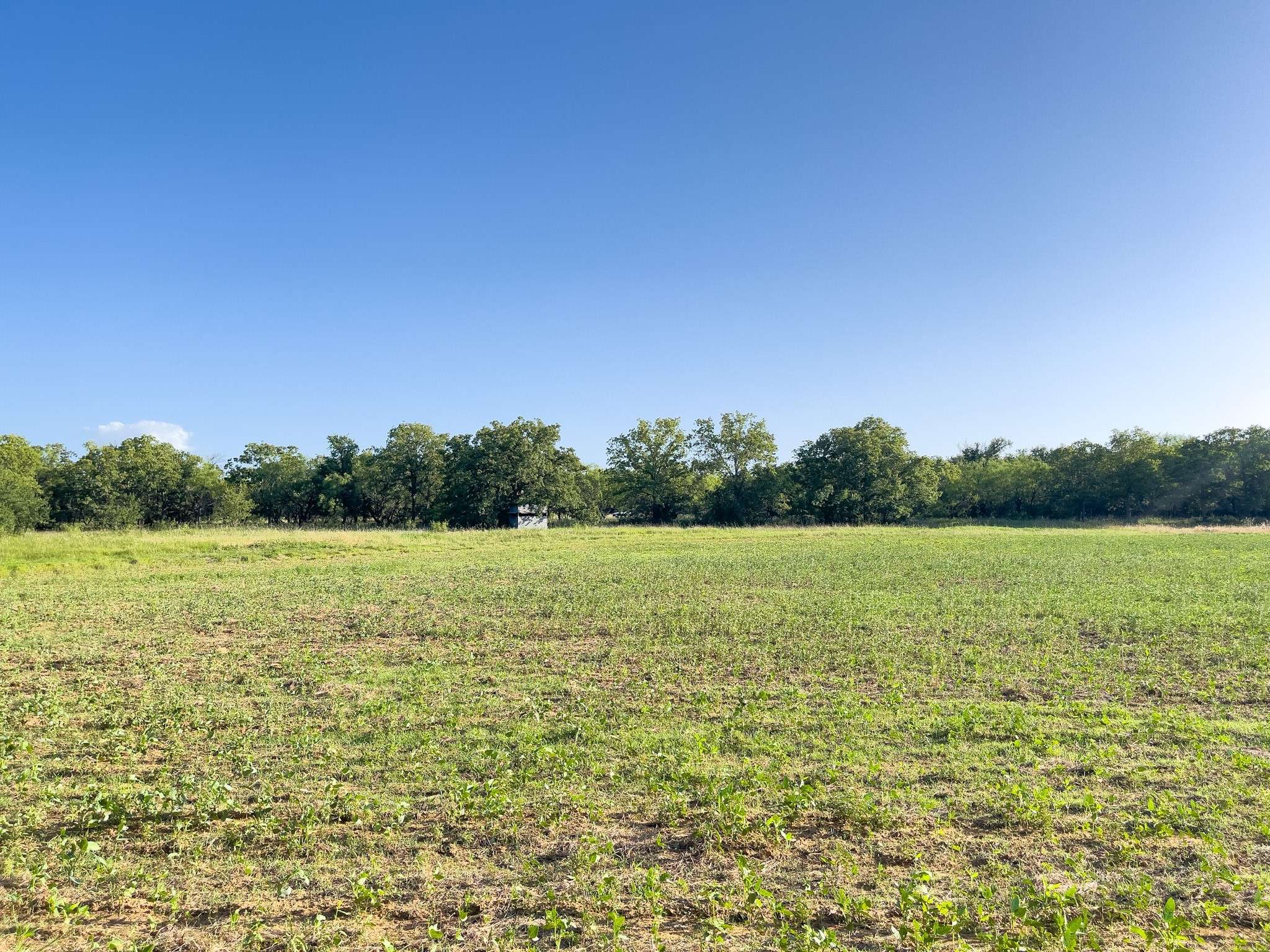 1 Rivertrail CIR, Mingus, TX 76463