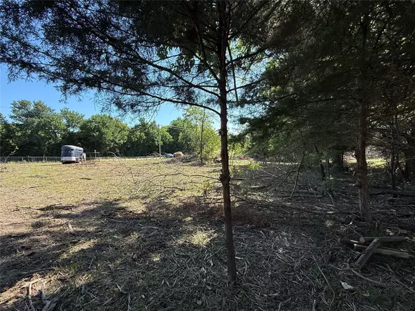 Ben Franklin, TX 75415,4580 FM 128