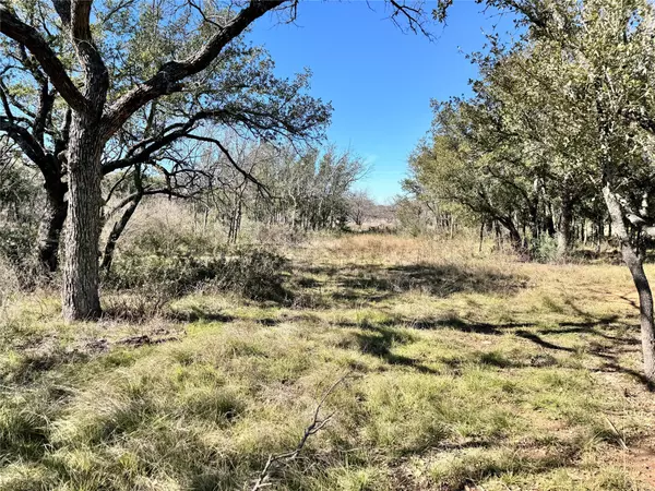Brownwood, TX 76801,TBD Lot 240 Feather Bay DR