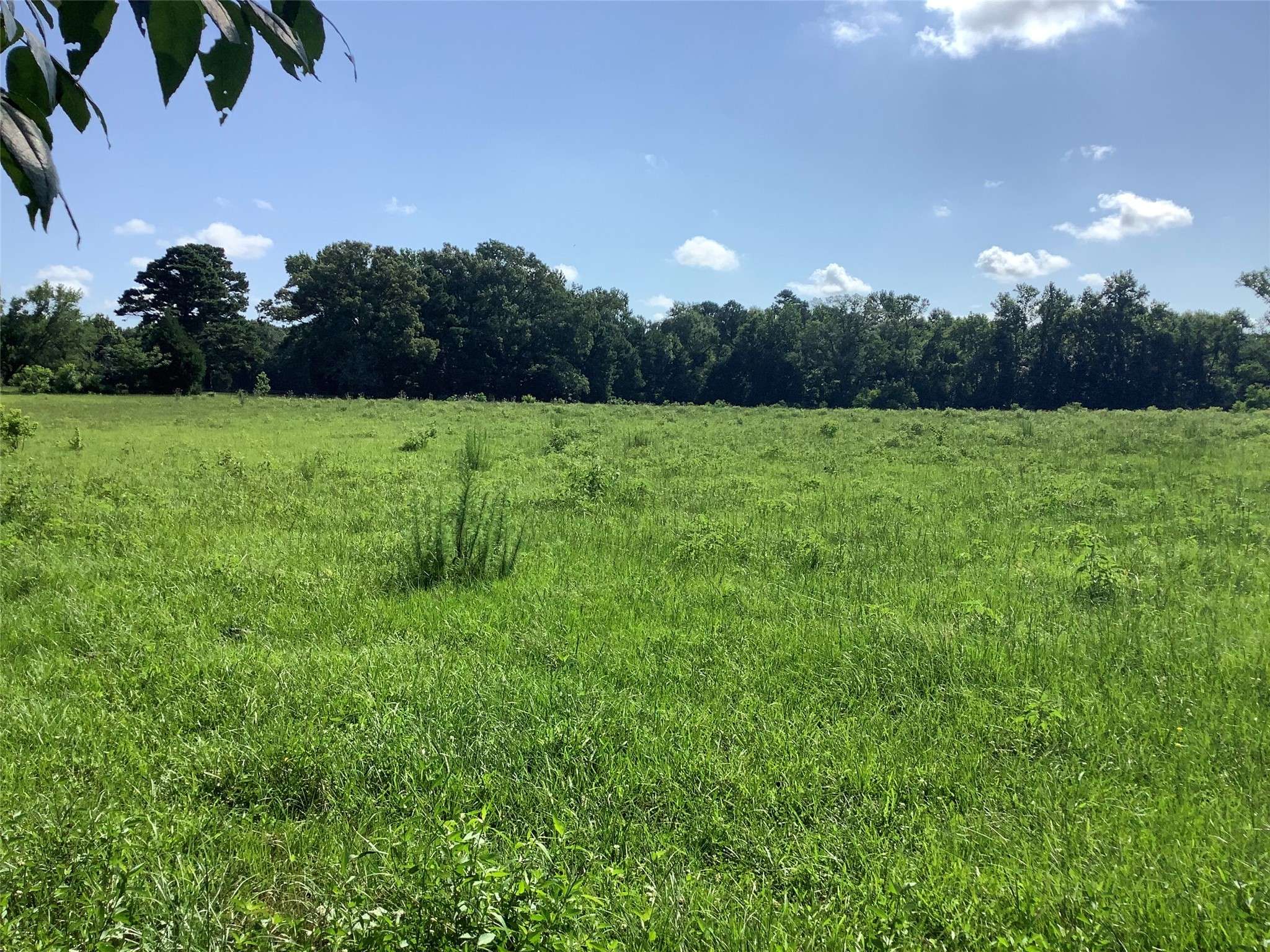 Benton, LA 71006,0000 Old Plain Dealing RD