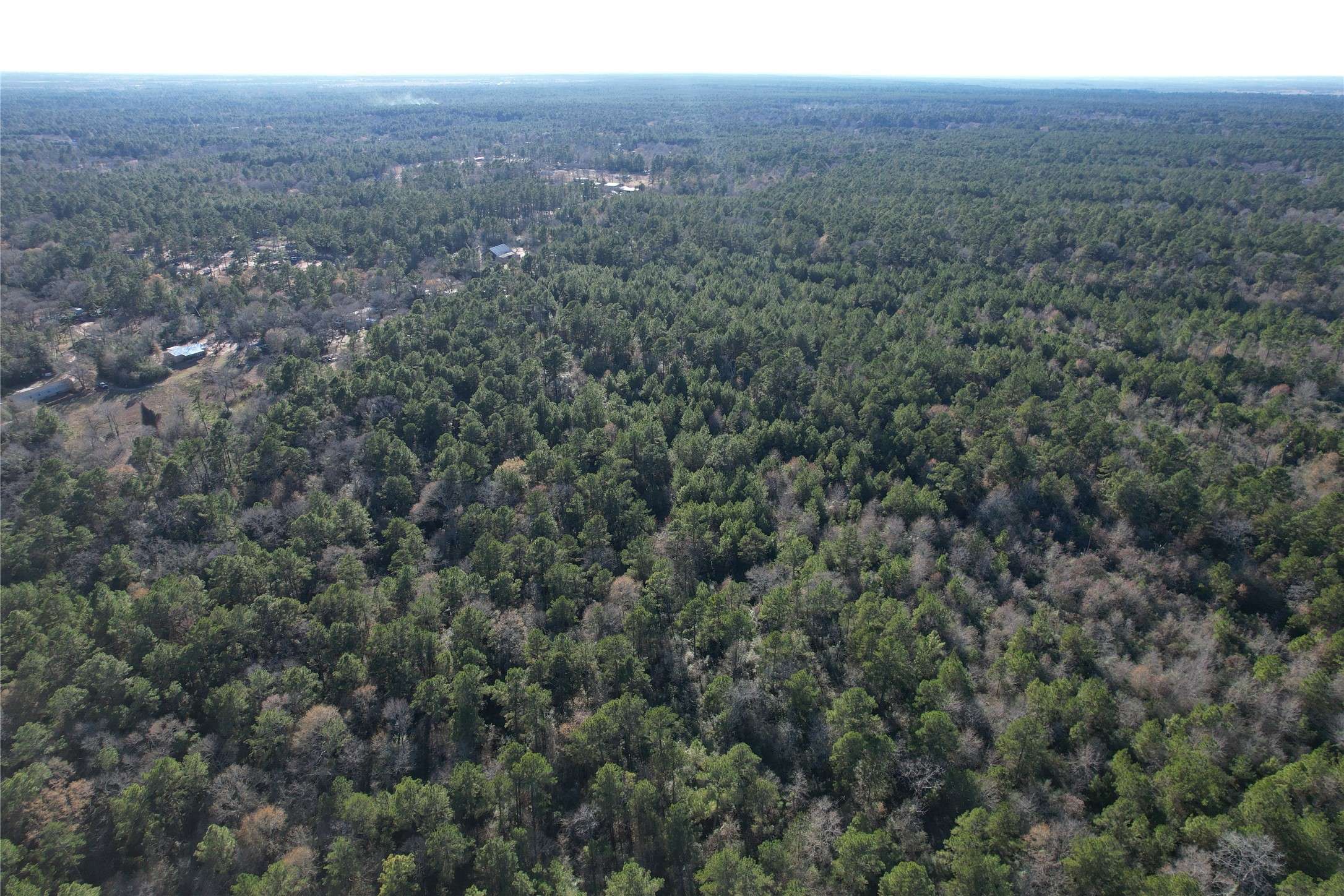 Plantersville, TX 77363,0000 Dyer Mill Rd