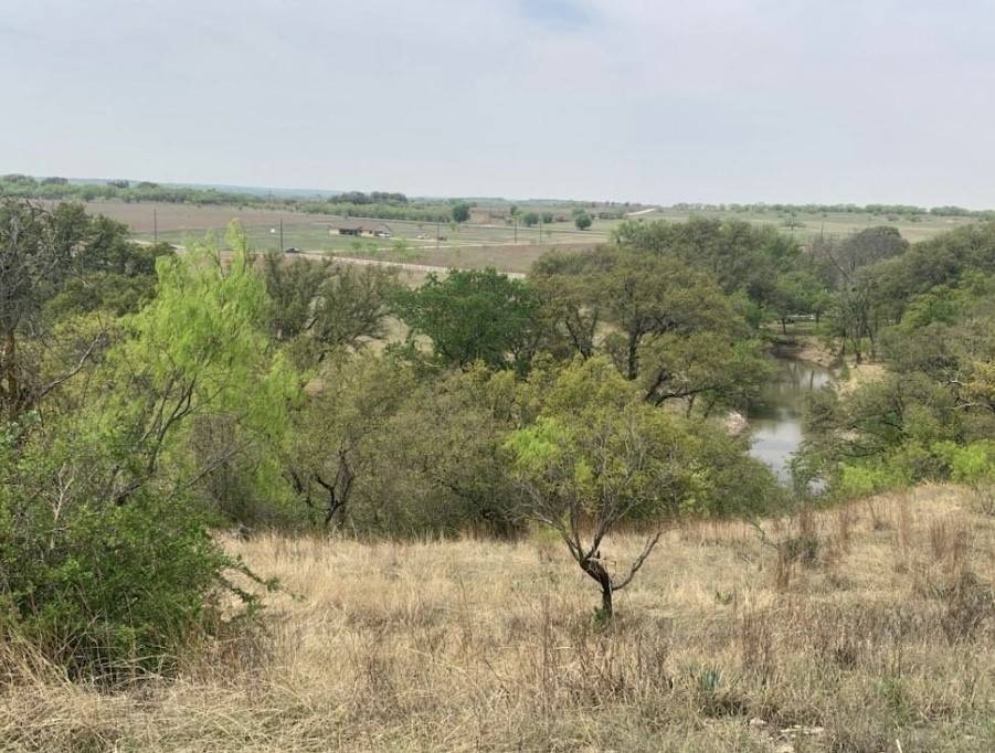 Comanche, TX 76442,Lot 97 Comanche Lake RD
