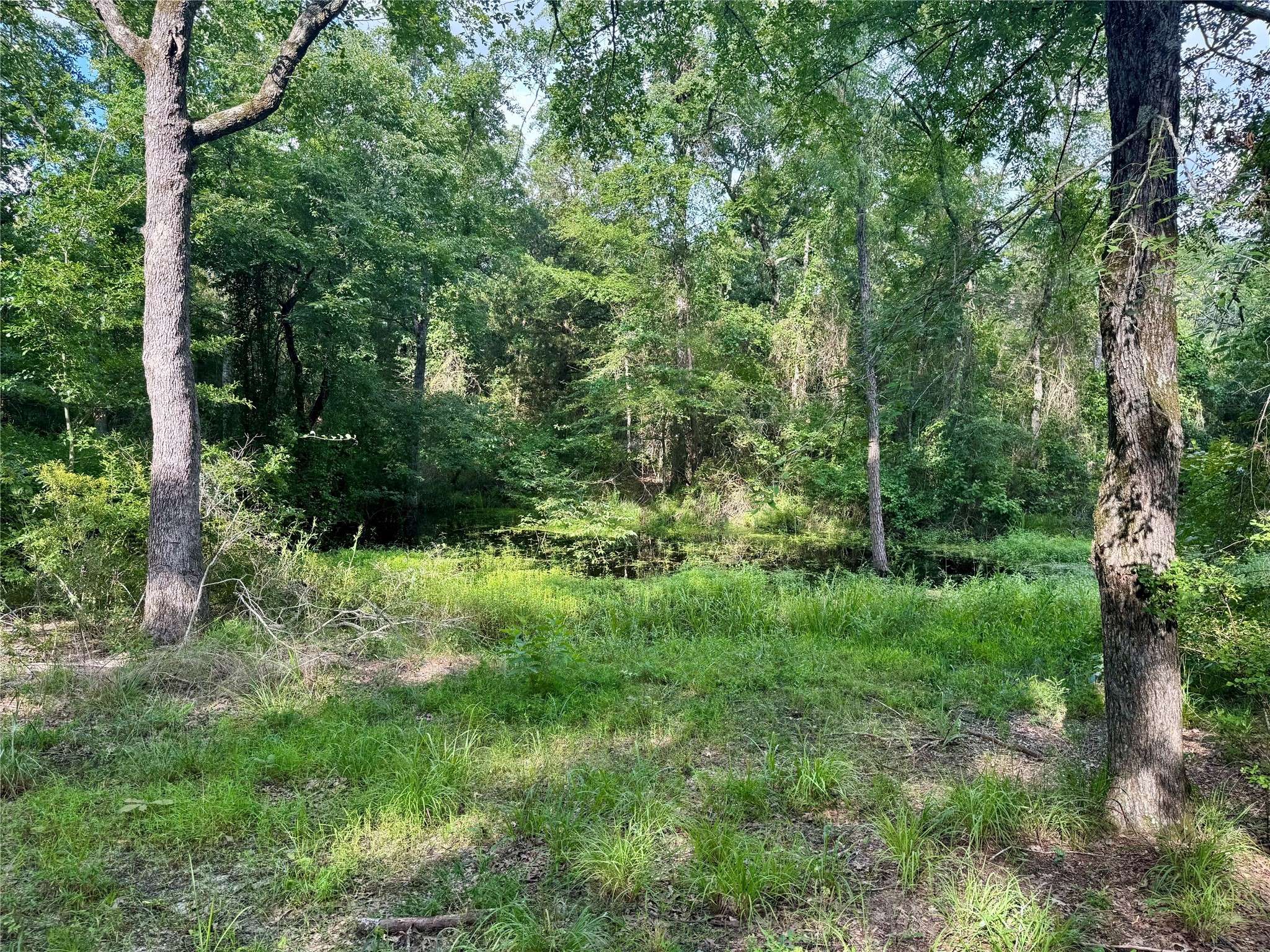 Eustace, TX 75124,490 Vz County Road 2915