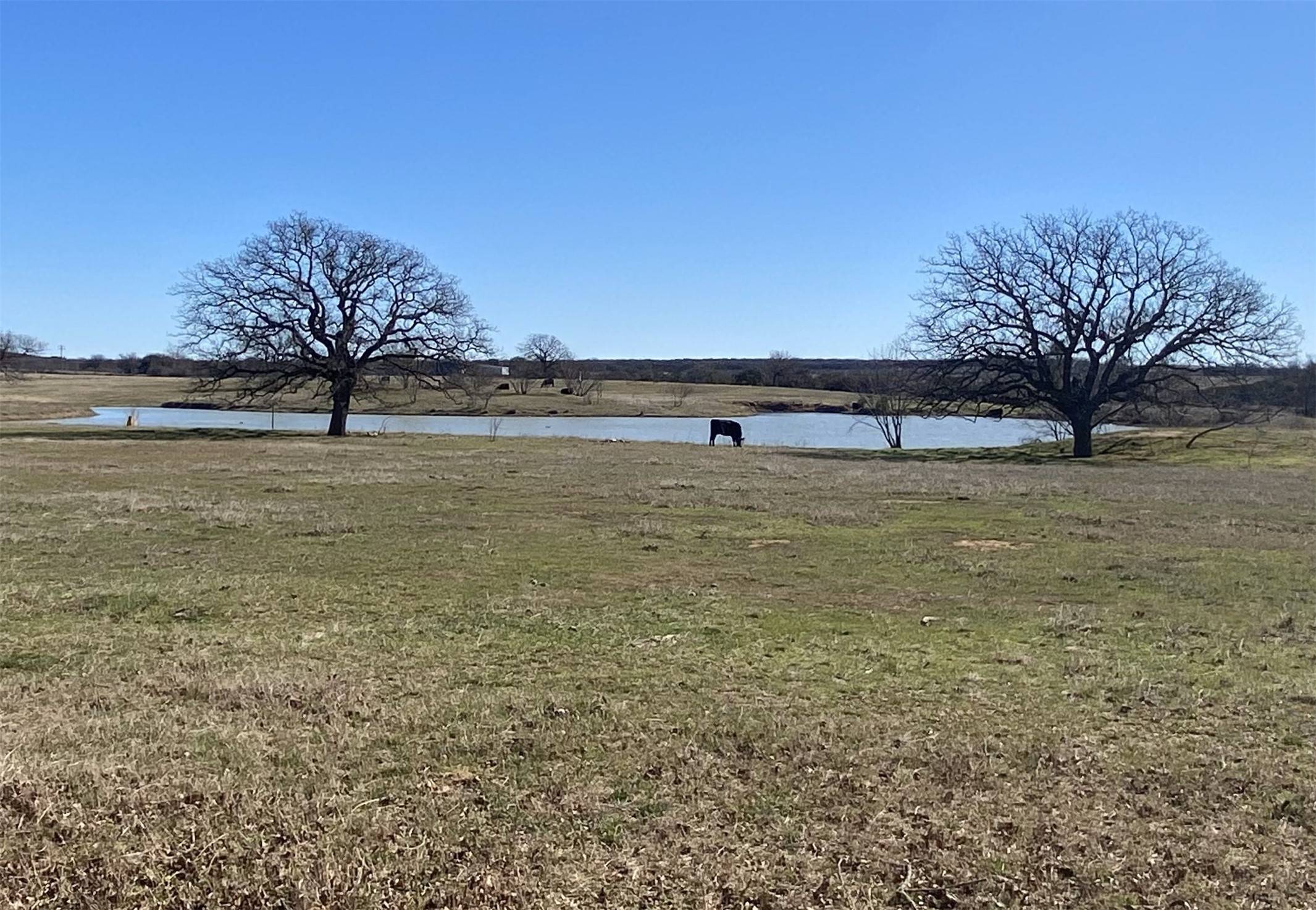 Mineral Wells, TX 76067,104 Long View DR